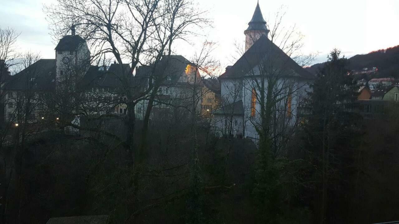 Waldshut Suite In Zentrum エクステリア 写真